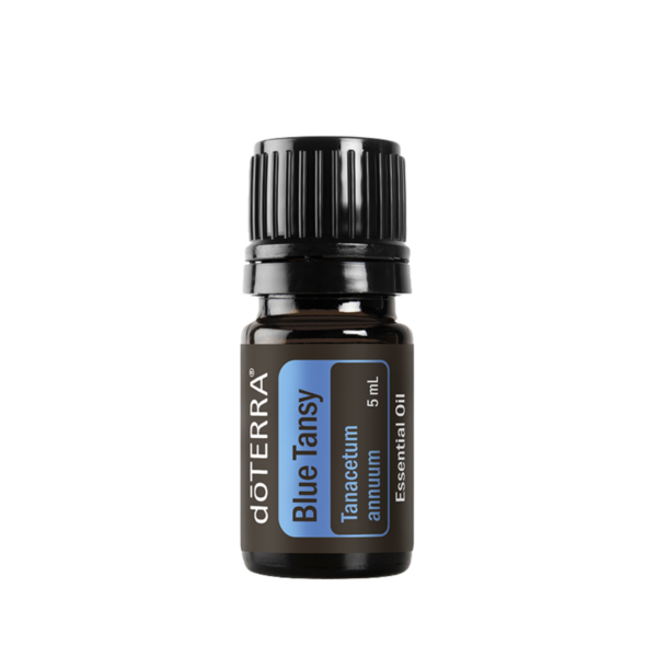 Blue Tansy Oil